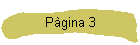 P�gina 3