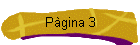P�gina 3