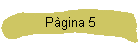 P�gina 5